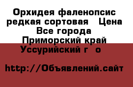 Орхидея фаленопсис редкая сортовая › Цена ­ 800 - Все города  »    . Приморский край,Уссурийский г. о. 